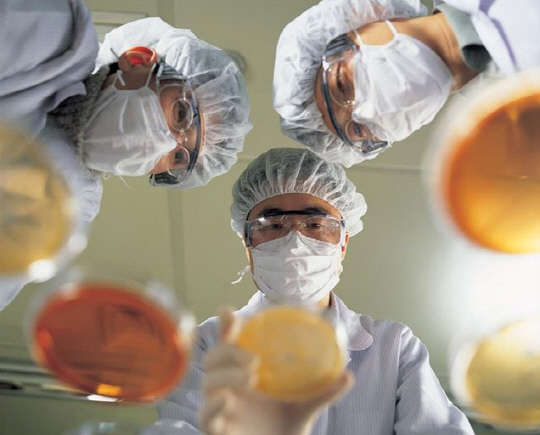 한미약품 연구원들이 신약 연구를 하고 있다. 한미약품 제공